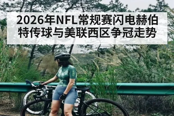 2026年NFL常规赛闪电赫伯特传球与美联西区争冠走势